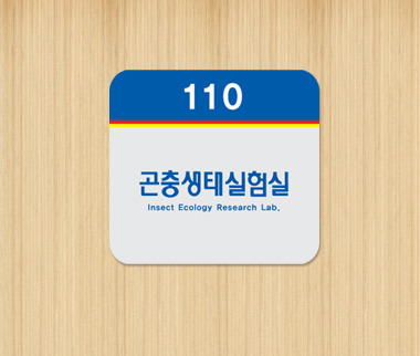 실사형 단면 A-05